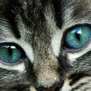 Meet your Posher, Jacqueline